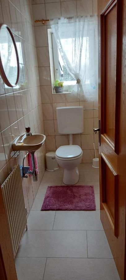 Ferienwohnung Seeberg Mit Almfeeling Faistenau Eksteriør billede