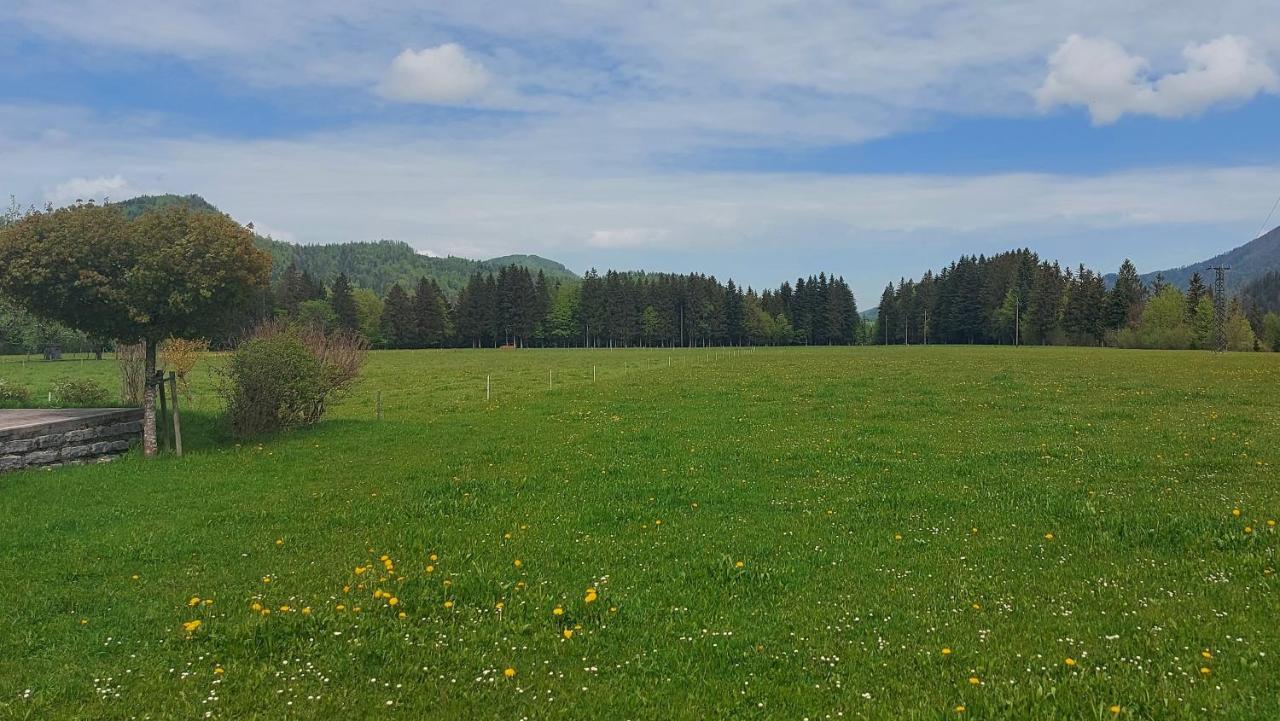 Ferienwohnung Seeberg Mit Almfeeling Faistenau Eksteriør billede